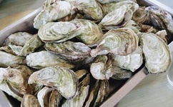 啊灬啊灬啊灬快灬高潮少妇A片